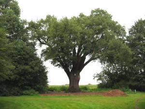 Bron: gemeente Emmen