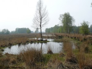 1024Nieuwe route Veenloop 2009 015